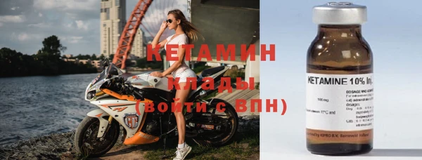 гидра Вяземский
