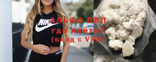 стаф Волоколамск