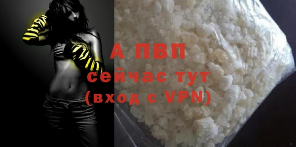 стаф Волоколамск