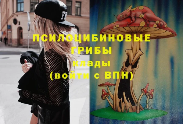 хмурый Волосово