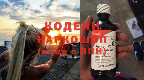 гидра Вяземский