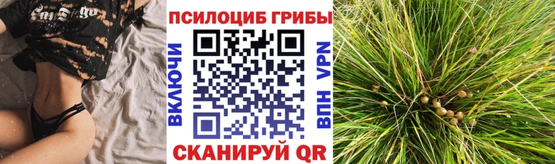 Псилоцибиновые грибы ЛСД  МЕГА ССЫЛКА  Долгопрудный 